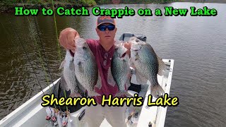 Find crappie fast on Shearon Harris Lake/Catch more Crappie with these methods Find crappie fast on Shearon Harris Lake/Catch more Crappie with these methods