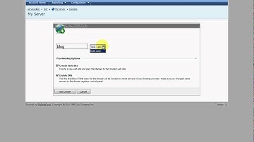 Sub-domain in WebsitePanel