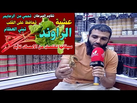 عشبة الرواند أدهشة الجميع تعرف على موطنها الدي تنبت فيه و بعض فوائدها الكبيرة تعاونية الشفائين