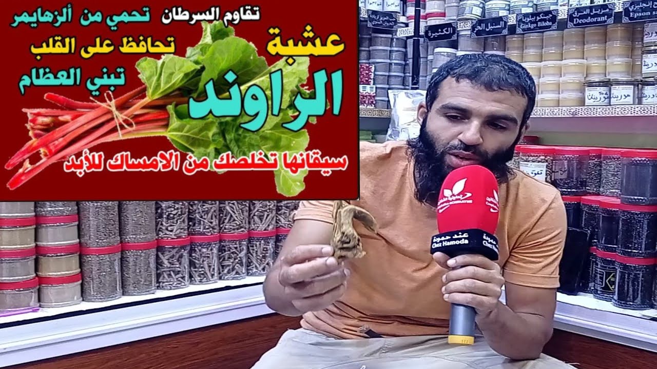 عشبة الرواند أدهشة الجميع تعرف على موطنها الدي تنبت فيه و بعض فوائدها الكبيرة تعاونية الشفائين