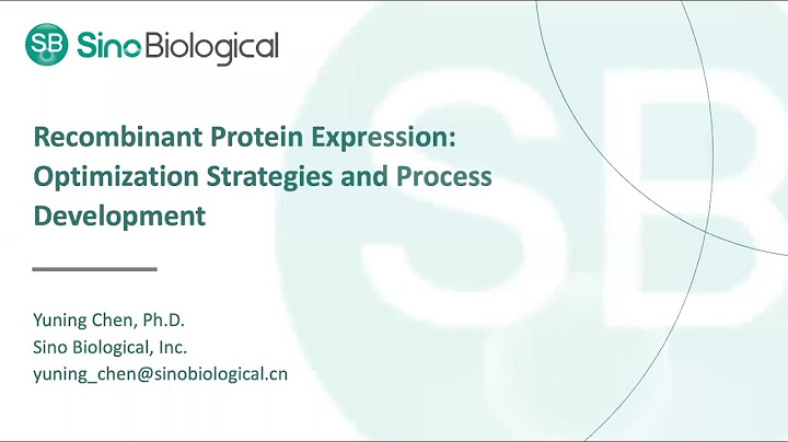 Collagen-likeplatelet aggregation-associated protein expression là gì năm 2024