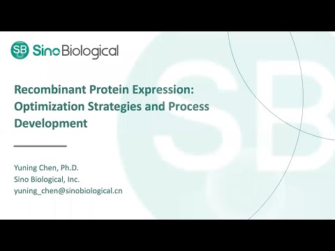 Recombinant Protein Expression Optimization Strategies and Process Development