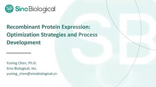 Recombinant Protein Expression Optimization Strategies and Process Development