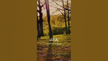 #المصحف #فولو #اكسبلور #الرحمن #عمر_بن_ضياء_الدين #سورة_النور 💗✨