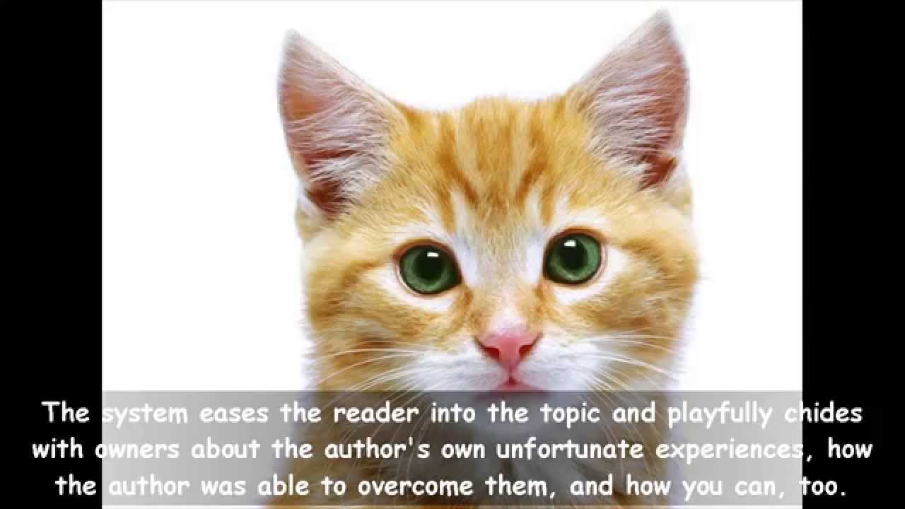 Cat Spraying No More For Dummies | Amazing | Does Cat Spraying No More Actually Work