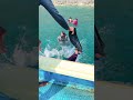 First Time Scuba Diving, Best Experience to have in life #scubadiving #goa #sea #shorts #viral #vibe
