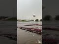 Current Status: Rain Delay 🚩