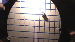 Deterministic Extremum Seeking Experiment