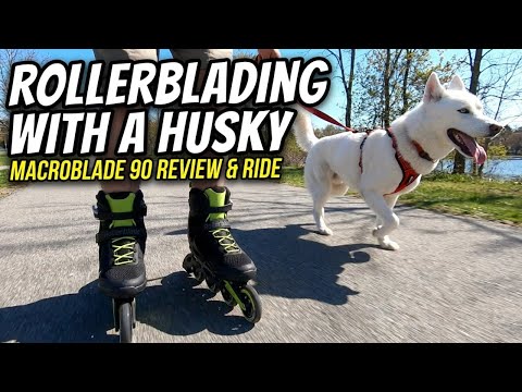 Rollerblading with a Husky: Macroblade 90 Review & Ride