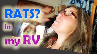 Invaded by MICE//How I Got Rid of Mice in My RV
