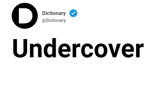 Undercover Meaning In English