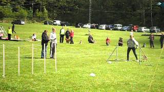 SAM_0811.AVI