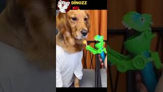 Köpeği̇n Tatli Bakişlari Eğlenceli̇ Köpek Vi̇deolari İçi̇n Abone Ol Öpek