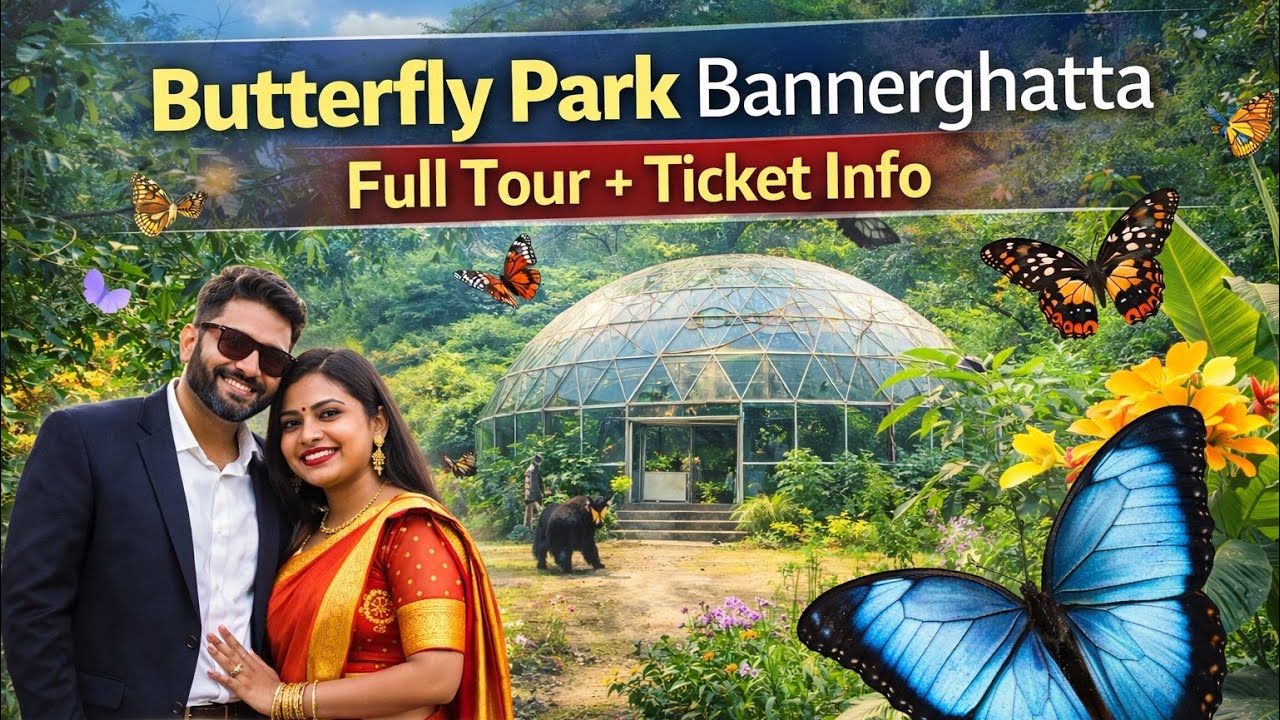 🦋 Exploring Butterfly Park Bangalore | Bannerghatta National Park Tour 8088032513