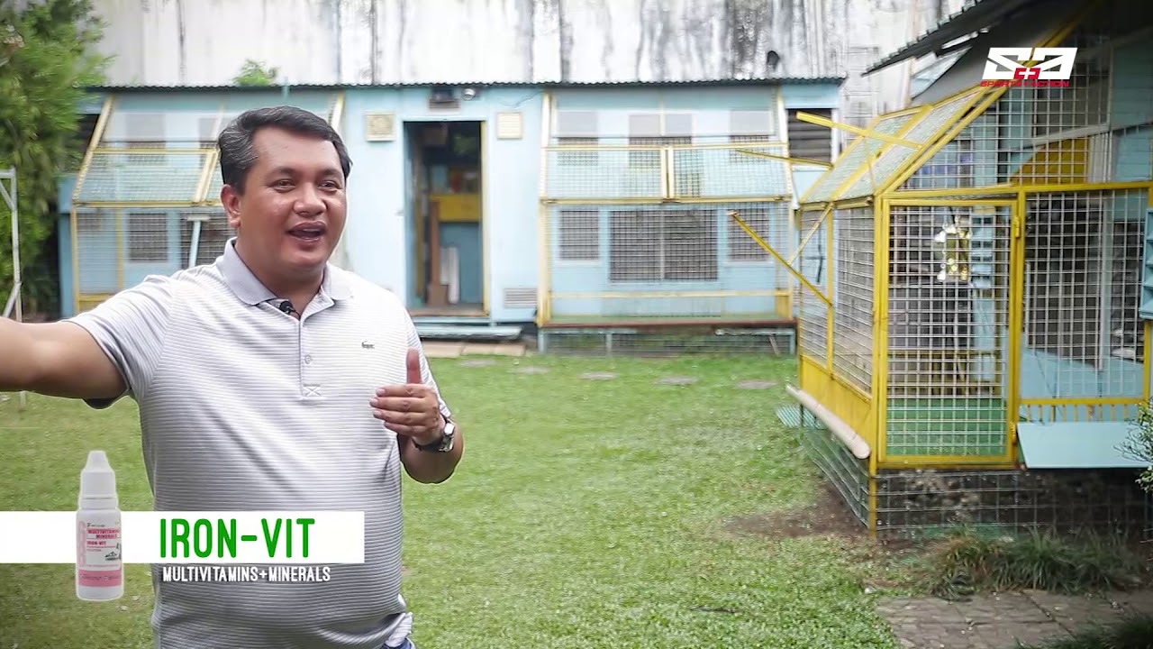 AGRITV January 26, 2020 Episode - PIGEON TALK - Kalapatids sa Novaliches