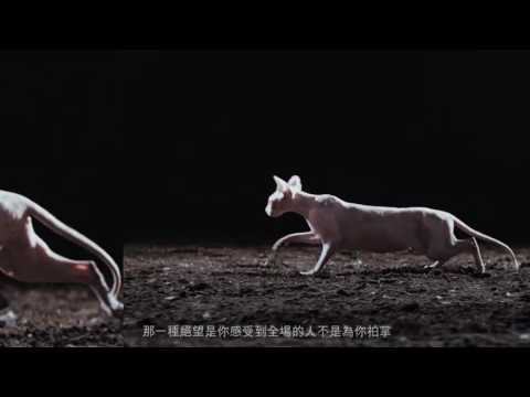 【SK II來片 毛記轉播】冇用㗎Juno，你以為你戴住頂冷帽遮住自己就冇人認到你咩？好似你呢啲咁出色嘅男人，無論喺咩地方，都好似漆黑中嘅螢火蟲一樣，咁鮮明，咁出眾！其實由當年嘅愛上殺手，去到近期嘅羅
