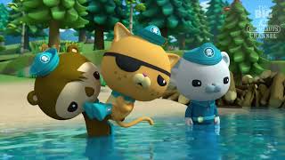 Octonauts and the Beavers Series 5  ENGLISH DUB CLIP Part 1 | The BIG Octonauts Channel