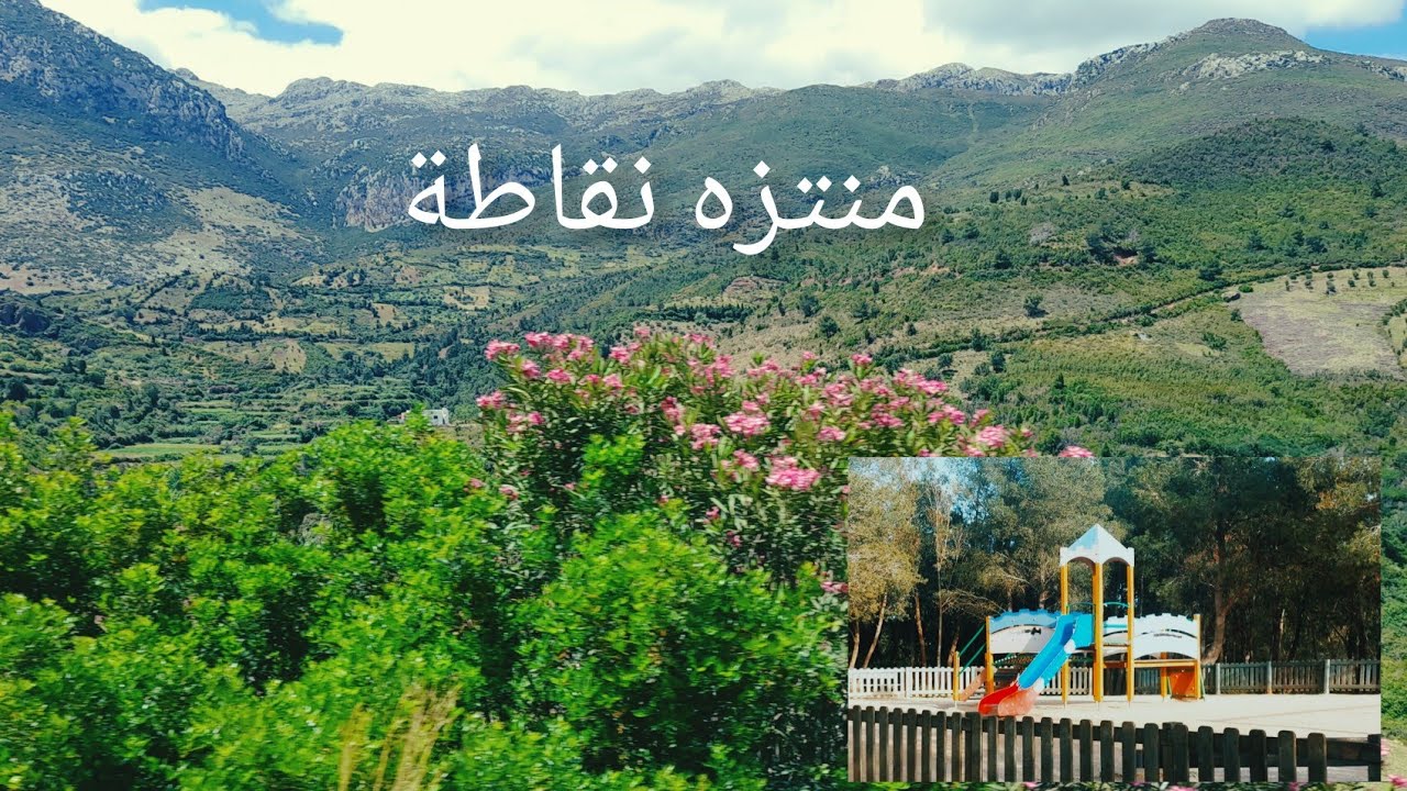 تطوان : يوم رائع بغابة نقاطة ⛰️ وجدت فيه طاكوس بري على الفاخر يا سلام شاكت معكم كلشي😍
