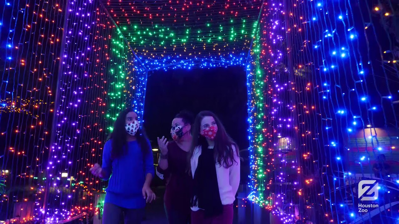 Houston Zoo Lights