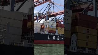 Ship being refueled - Log-in Evolution (Container ship) - Port of Santos (Brazil)