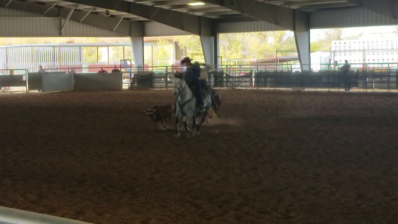 Jackpot Team Roping YouTube