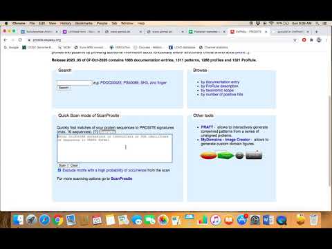 Expasy Prosite (Protein Domain Database)