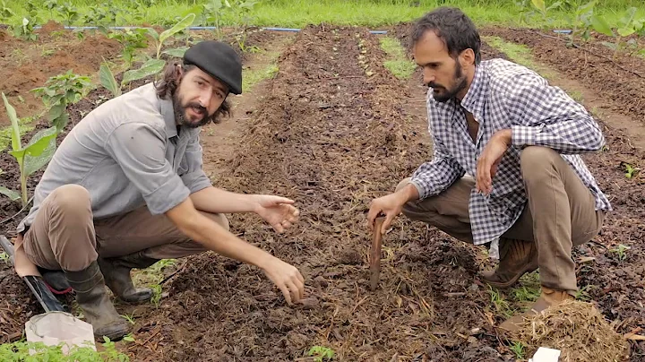 AGROFORESTRY COURSE | Lesson 22 Pt. 1, Module 5 - Vegetables in Food Forests | Food Forest COURSE |