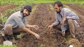 AGROFORESTRY COURSE | Lesson 22 Pt. 1, Module 5 - Vegetables in Food Forests | Food Forest COURSE |