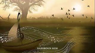 Süheyla Kutbay - Bağa Girdim Kamışa Su Ne Yapsın Yanmışa