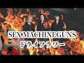 SEX MACHINEGUNS / ドライフラワー