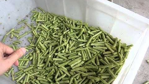 SH-125 green long bean vegetable cutting slicing machien, cutter slicer,slice cutter