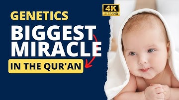 Big Miracle Qur
