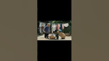 Capybara và bà: capy nghịch ngợm #capybara #funny #ytshorts #haihuoc #giaitri #shorts #fyp