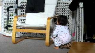 socks.avi