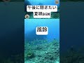 午後のひと時を夏唄BGMで！