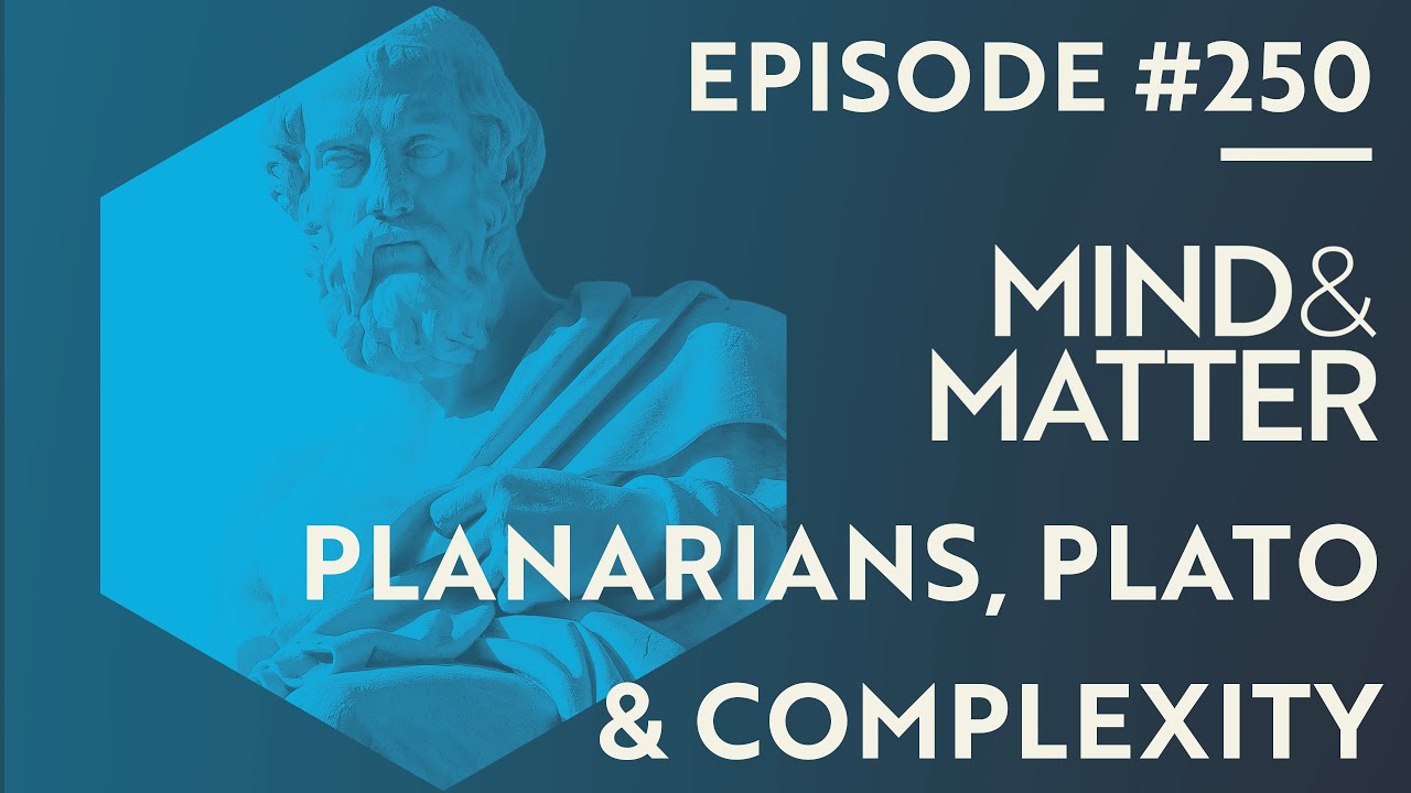 Cognition, Form, Regeneration & Metaphysics: Does Biology Arise From Math? | Michael Levin | 250