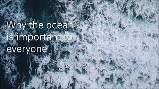 Why the Ocean is Important to Everyone - Lecture by Prof. Stefan Rahmstorf