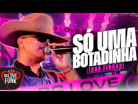 MAIS FOI SO UMA BOTADINHA AMOR - Igor Ferrari (MÚSICA NOVA)