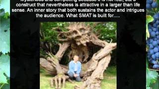 Suzuki for Stooges Part 4 with music.wmv