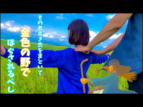 【肩もみ 叩打法】伝説の青き衣を金色の野原で肩もみと叩打法 Shoulder massage and tapotement in the legendary blue golden field
