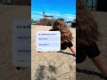 „Am nevoie de idei 👀✨ Ce audiobook v-ar plăcea să fac în continuare? Spuneți-mi în comentarii 📚🎧