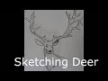 How to sketch deer head