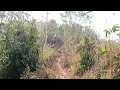 Napak Bolchugre East Garo Hills Meghalaya 