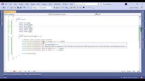 Default Values of Datatype in C# Dotnet
