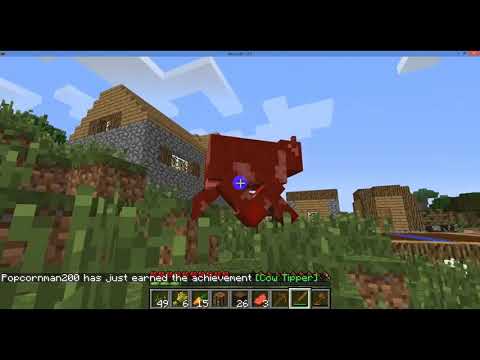 My 2014 Minecraft Video