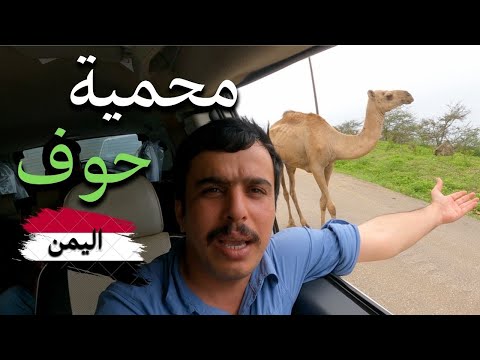سويسرا الشرق اليمن