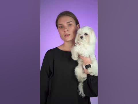 Грумер - професія 🥹 - YouTube