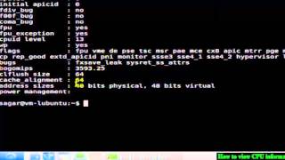How to view CPU information in Linux Mint