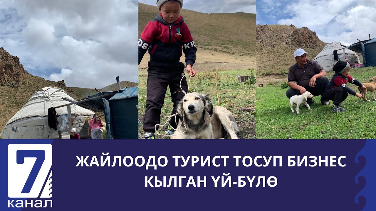 Жайлоодо турист тосуп бизнес кылган үй-бүлө