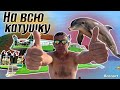 #Архипо_Осиповка, #Дивноморское #Кабардинка. Незабываемое путешествие. Есть ли мазут на пляже?!